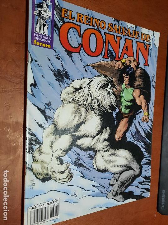 C&oacute;mics: EL REINO SALVAJE DE CONAN 8 GRAPA. BUEN ESTADO.