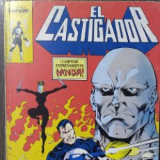 Cómics: TOMO CON 5 NÚMEROS DE EL CASTIGADOR 1989. Lote 335911338