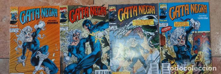 C&oacute;mics: GATA NEGRA. SERIE LIMITADA. FORUM - Foto 1