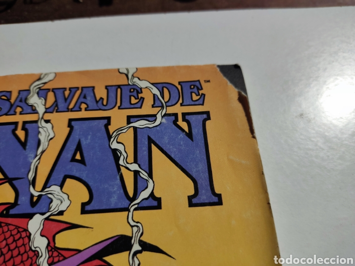 C&oacute;mics: C&oacute;mic El Reino salvaje de CONAN - Foto 2