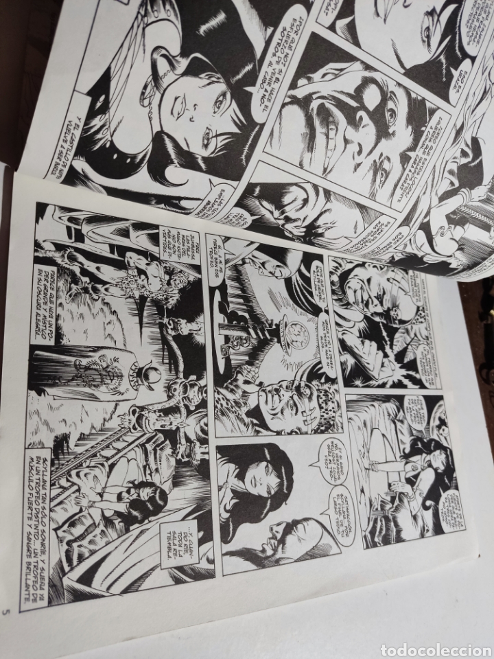 C&oacute;mics: C&oacute;mic El Reino salvaje de CONAN - Foto 3