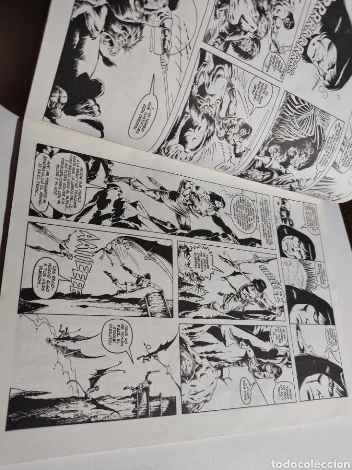 C&oacute;mics: C&oacute;mic El Reino salvaje de CONAN - Foto 5