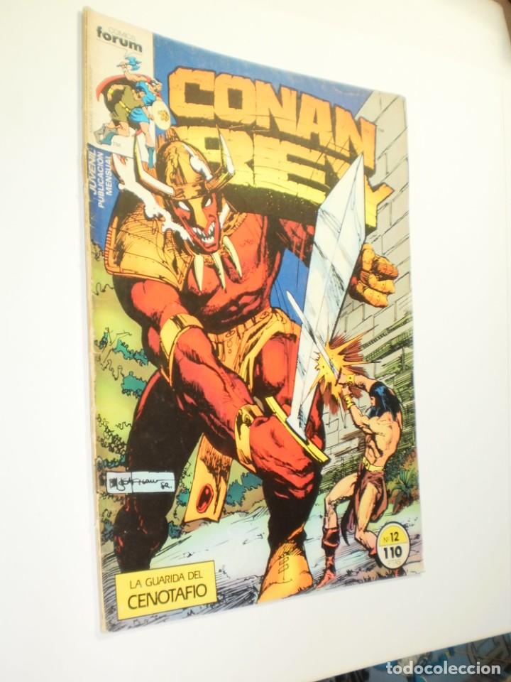 C&oacute;mics: conan rey n&ordm; 12 1985 (estado normal, leer) - Foto 1