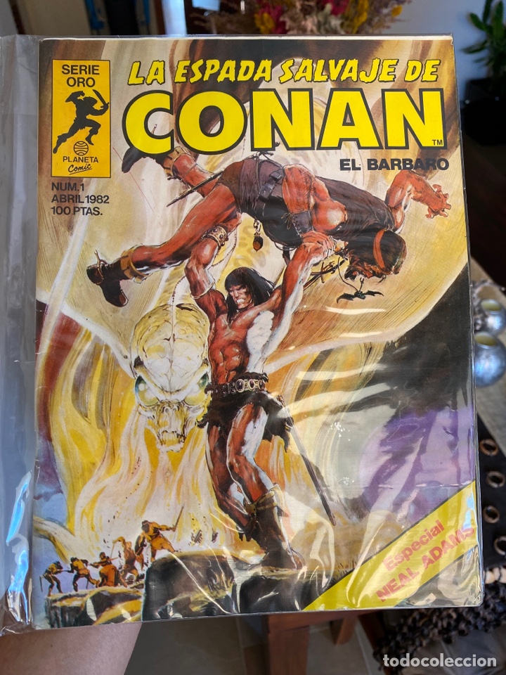 C&oacute;mics: La Espada Salvaje de Conan n&ordm; 1, 1&ordf; Edici&oacute;n - Foto 1