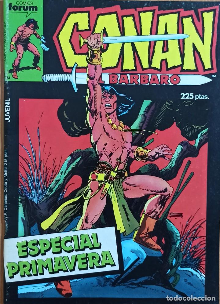 C&oacute;mics: CONAN EL BARBARO ESPECIAL PRIMAVERA 1987 - FORUM - Foto 1