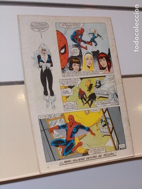 C&oacute;mics: PETER PARKER ES... SPIDERMAN VOL. 1 N&ordm; 56 MARVEL - FORUM - Foto 2