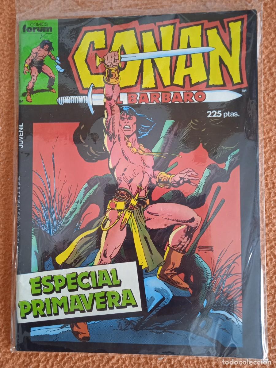 C&oacute;mics: CONAN EL BARBARO ESPECIAL PRIMAVERA FORUM - Foto 1