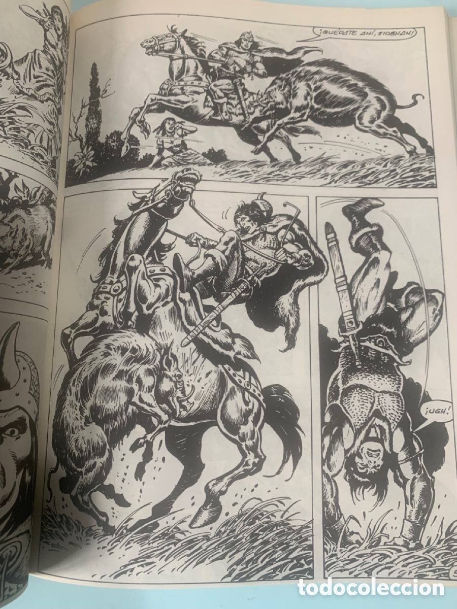 C&oacute;mics: CONAN EL B&Aacute;RBARO. LA ESPADA SALVAJE. EDITORIAL F&Oacute;RUM. A&Ntilde;O 1982. - Foto 2