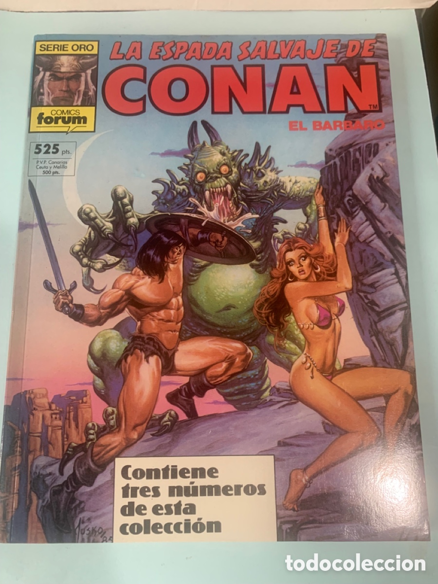 C&oacute;mics: CONAN EL B&Aacute;RBARO. LA ESPADA SALVAJE. EDITORIAL F&Oacute;RUM. A&Ntilde;O 1982. - Foto 1