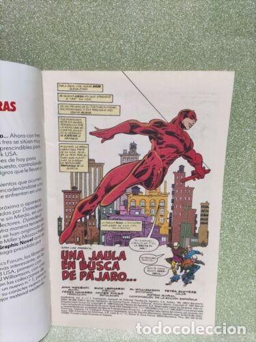 C&oacute;mics: COMICS FORUM - DAREDEVIL EL HOMBRE SIN MIEDO! N&ordm; 1 - Foto 2