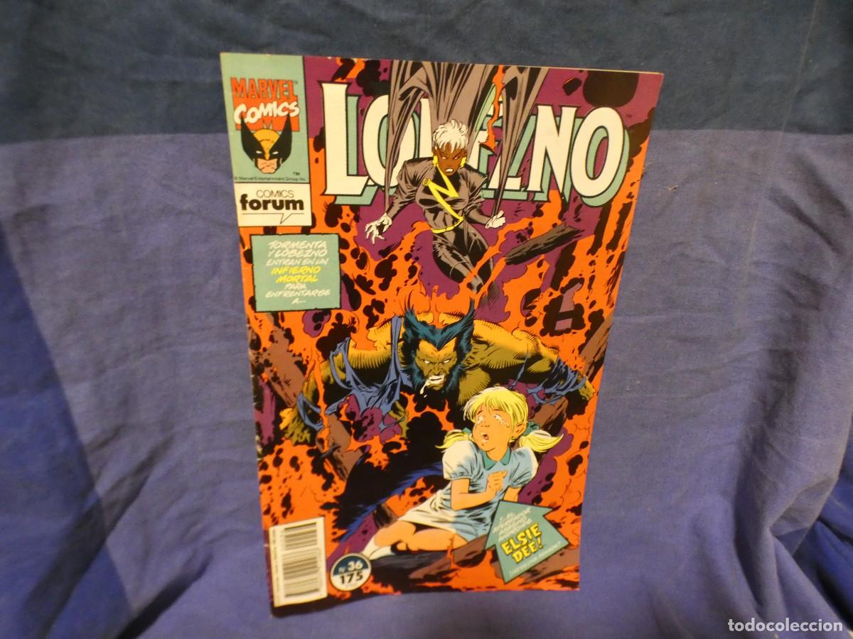 C&oacute;mics: ARKANSAS COMIC ESTADO DECENTE COMIC FORUM LOBEZNO NUM 36 - Foto 1