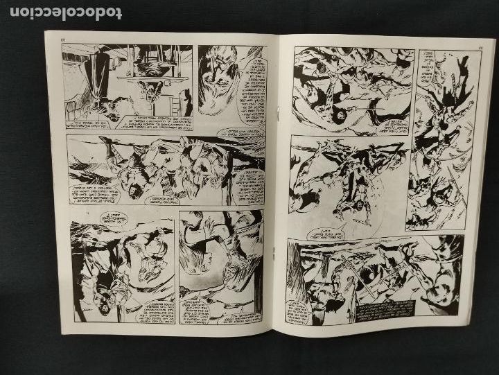 C&oacute;mics: LA ESPADA SALVAJE DE CONAN - N&ordm; 33 - 2&ordf; EDICION - FORUM - - Foto 2