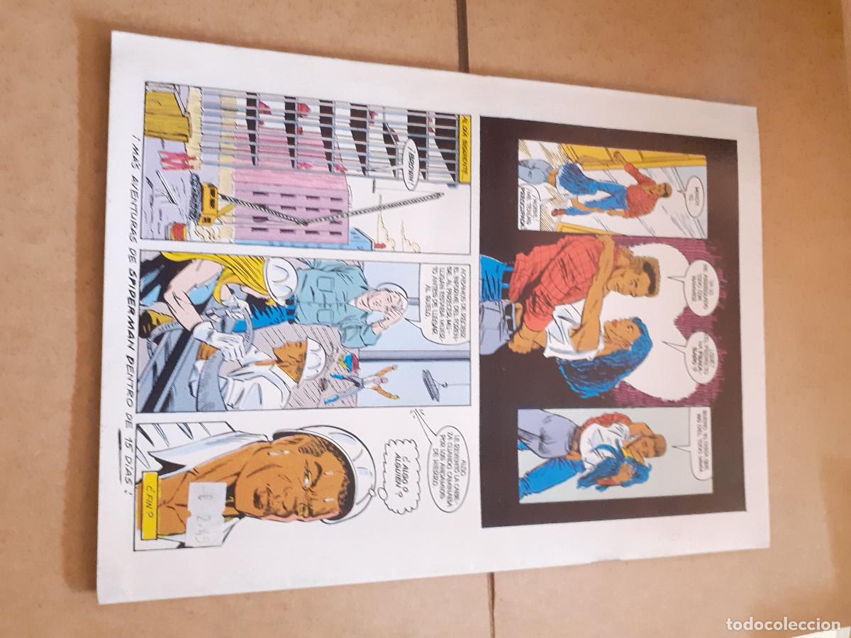 C&oacute;mics: SPIDERMAN - N&ordm; 195 - VOL1 - Auto de Fe - FORUM - Foto 2