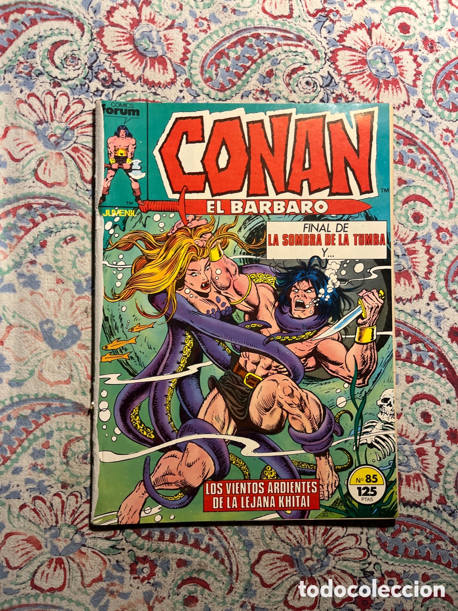 C&oacute;mics: CONAN EL B&Aacute;RBARO, N&Uacute;MERO 85, (C&Oacute;MICS F&Oacute;RUM) - Foto 1