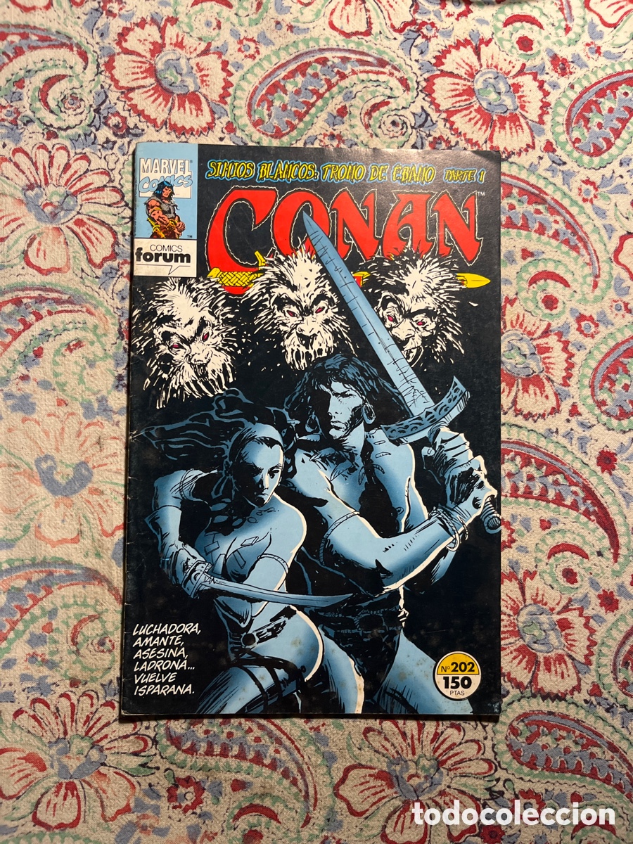 C&oacute;mics: CONAN EL B&Aacute;RBARO, N&Uacute;MERO 202, (C&Oacute;MICS F&Oacute;RUM) - Foto 1