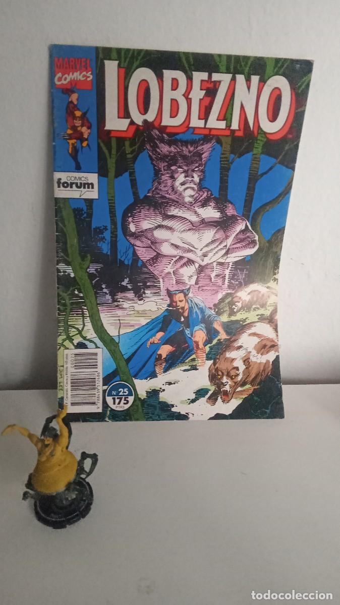 C&oacute;mics: lobezno n&ordm; 25 - Foto 1
