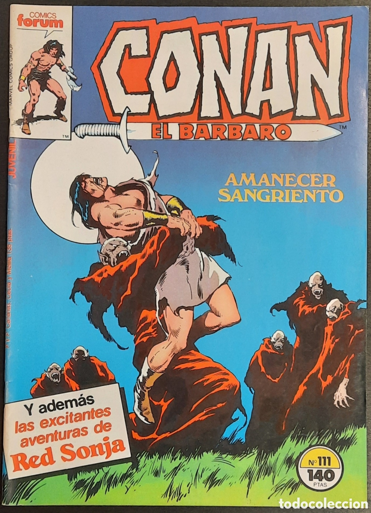 C&oacute;mics: CONAN EL B&Aacute;RBARO 111 - Foto 1