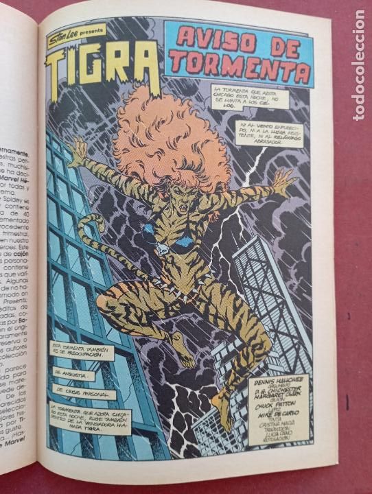 C&oacute;mics: MARVEL H&Eacute;ROES EXTRA DE VERANO - 1991 FORUM - Foto 2