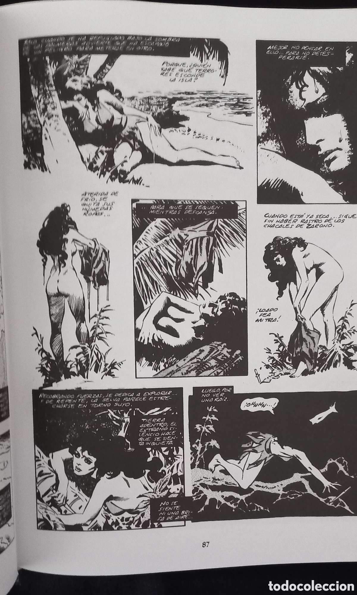 C&oacute;mics: CONAN EL PIRATA N&deg;4, BUCANERO. ED.FORUM - Foto 2