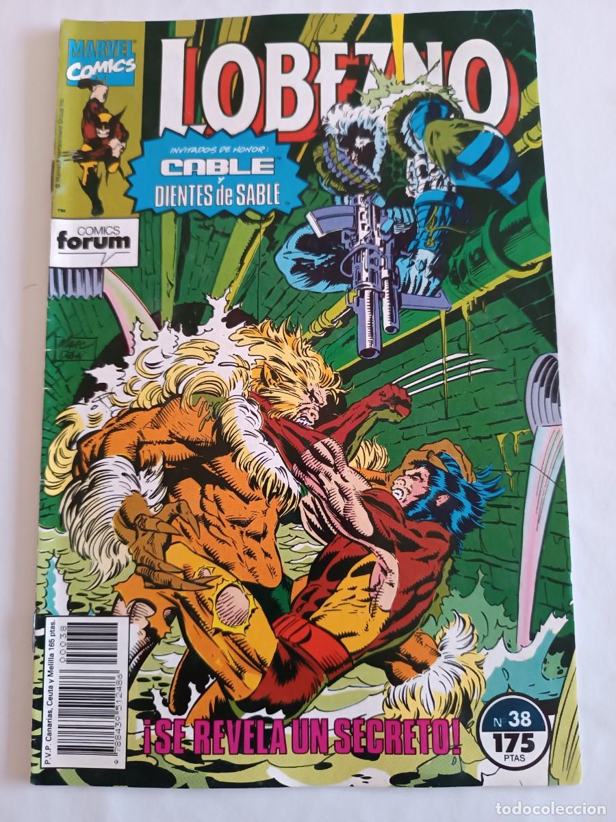 C&oacute;mics: Lobezno Vol. 1 (1989-1995) n&uacute;m. 38 - Foto 1