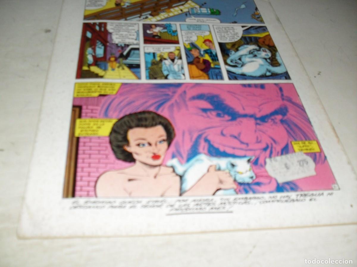 C&oacute;mics: LOS NUEVOS MUTANTES 4,(DE 65)CON EL D.EXTRA&Ntilde;O DE COMPLEMENTO.1986.LA 1&ordf;COLECCION DE FORUM. - Foto 2