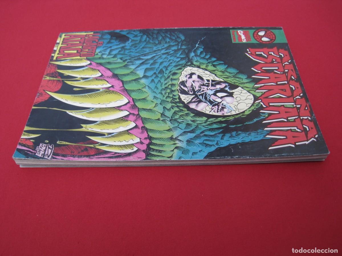 C&oacute;mics: ARA&Ntilde;A ESCARLATA - EL LAGARTO ATACA - FORUM. - Foto 4