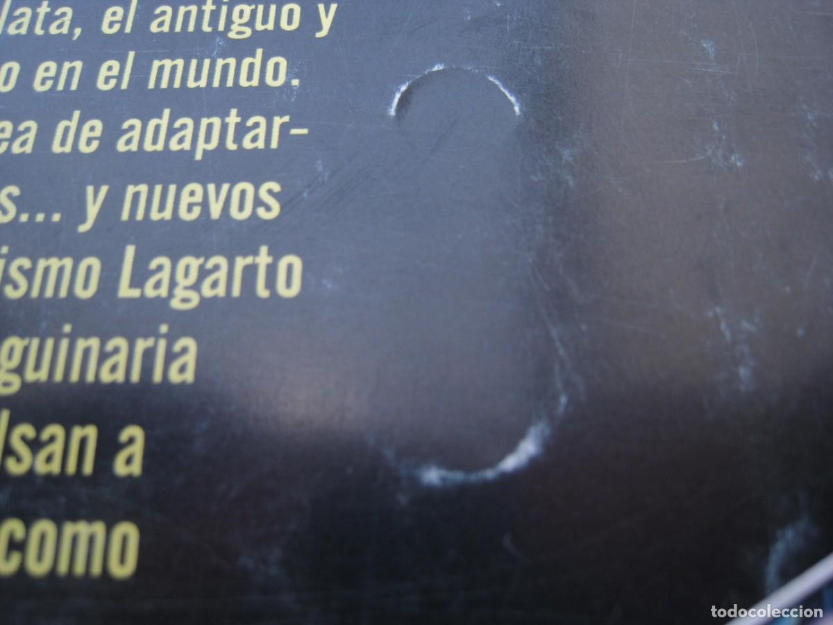 C&oacute;mics: ARA&Ntilde;A ESCARLATA - EL LAGARTO ATACA - FORUM. - Foto 7