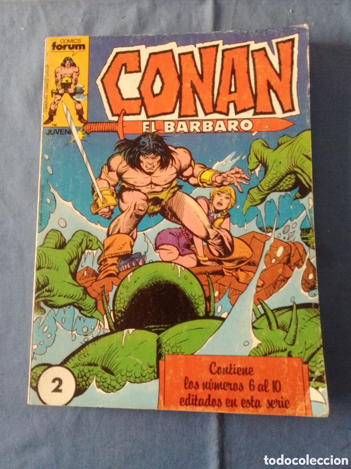 C&oacute;mics: Conan el B&aacute;rbaro tomo n&ordm; 2 del n&ordm; 6 al 10 - Foto 1