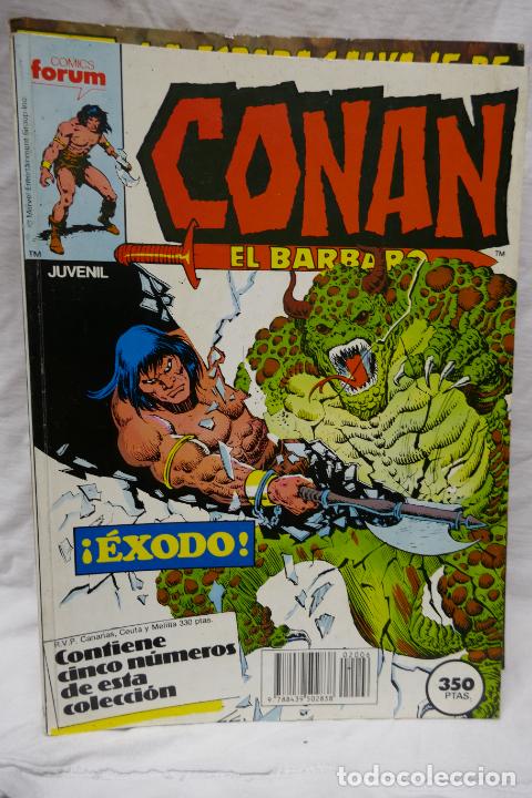 C&oacute;mics: CONAN EL B&Aacute;RBARO. LOTE DE 6 TOMOS. FORUM - Foto 3