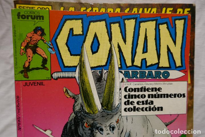 C&oacute;mics: CONAN EL B&Aacute;RBARO. LOTE DE 6 TOMOS. FORUM - Foto 7