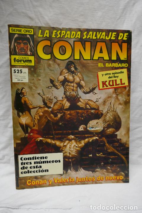 C&oacute;mics: CONAN EL B&Aacute;RBARO. LOTE DE 6 TOMOS. FORUM - Foto 9