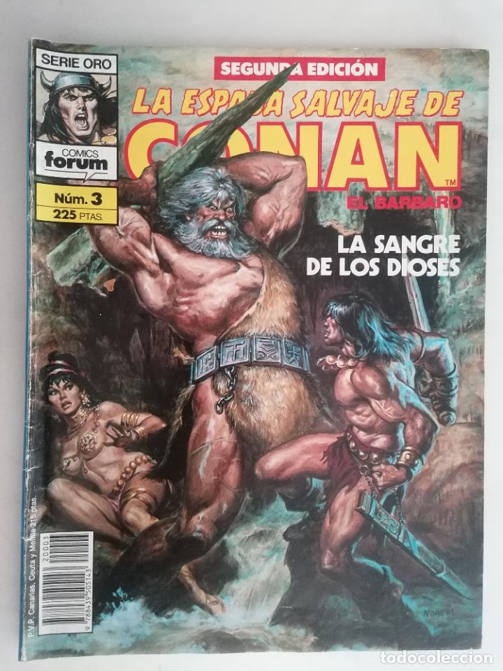 C&oacute;mics: LA ESPADA SALVAJE DE CONAN EL BARBARO, N&ordm; 3 - Foto 1