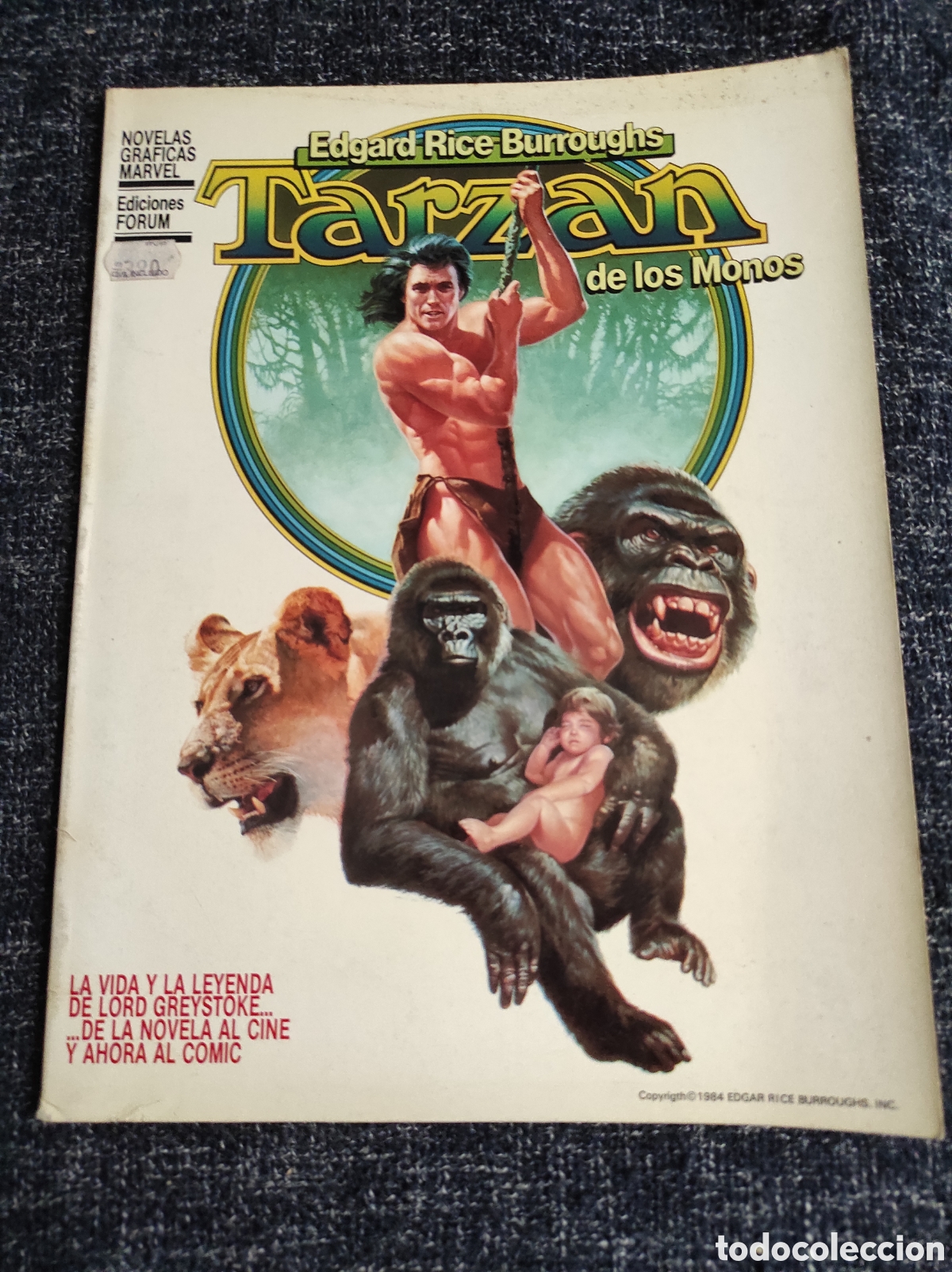 C&oacute;mics: TARZAN DE LOS MONOS / DIBUJOS : DAN SPIEGLE - Foto 1