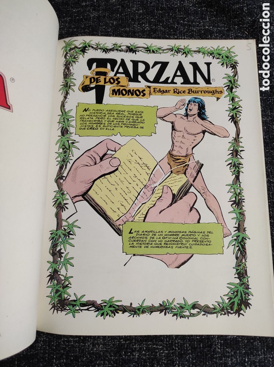 C&oacute;mics: TARZAN DE LOS MONOS / DIBUJOS : DAN SPIEGLE - Foto 2