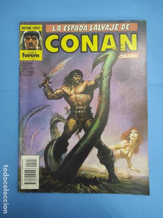 C&oacute;mics: COMIC DE LA ESPADA SALVAJE DE CONAN 1&ordf; EDICION A&Ntilde;O 1990 N&ordm; 115 DE COMICS FORUM - Foto 1