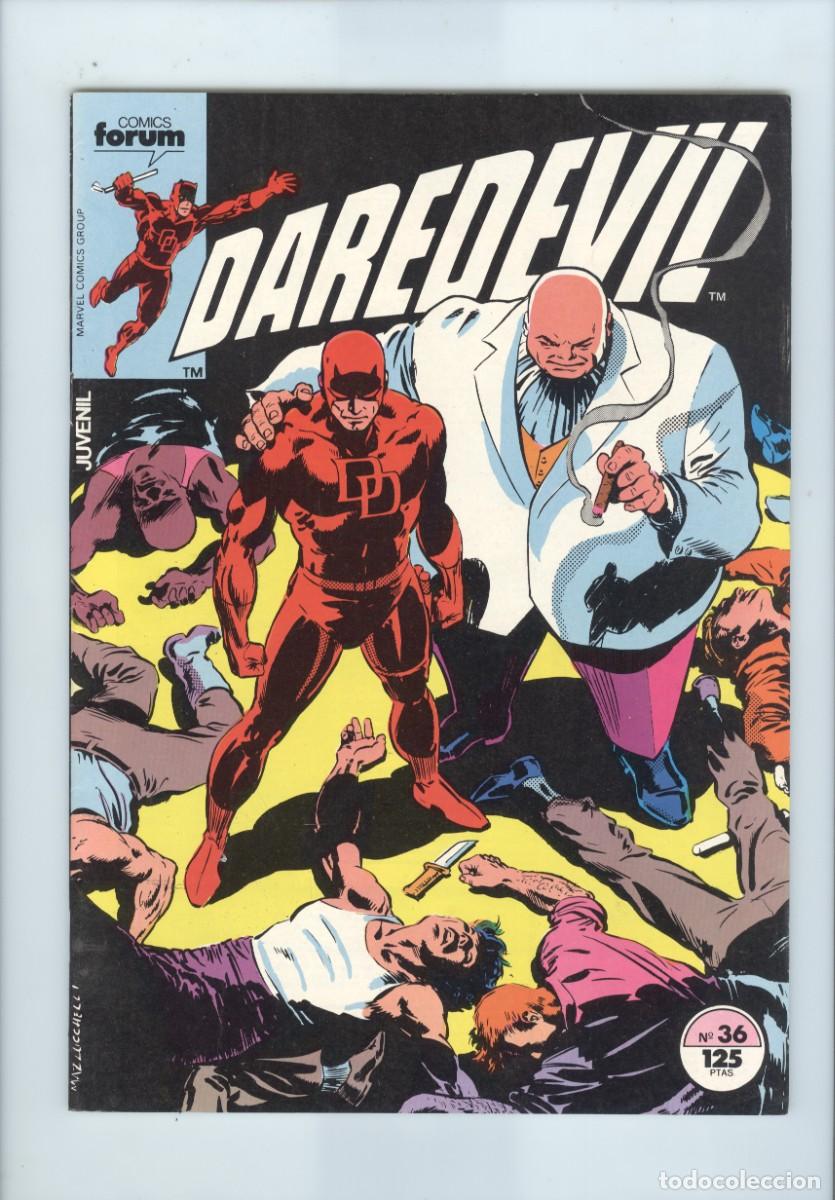 C&oacute;mics: Planeta. Forum. Daredevil. 36. - Foto 1