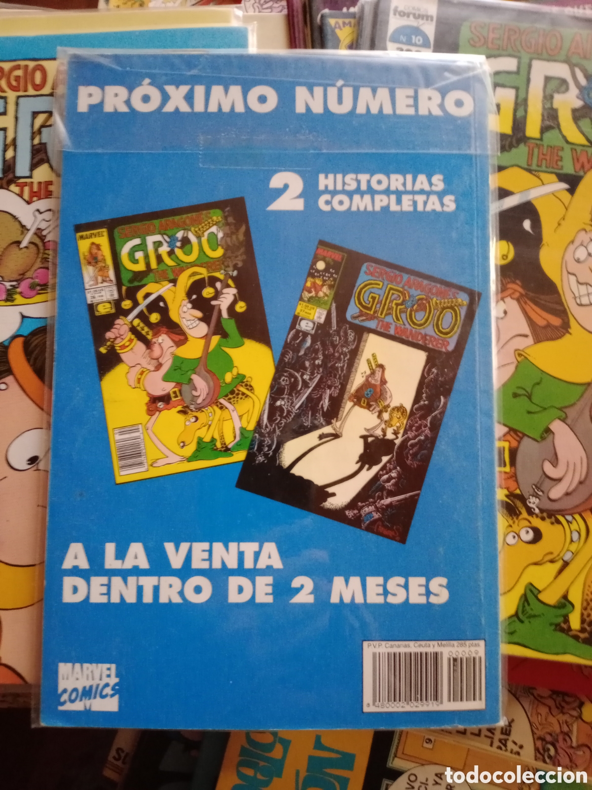 C&oacute;mics: Groo The wanderer 9 cj81 - Foto 2