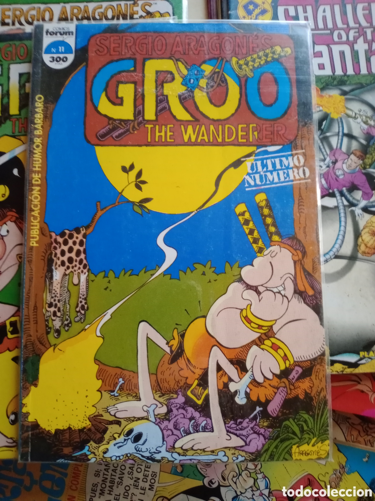 C&oacute;mics: Groo The wanderer 11 cj81 - Foto 1