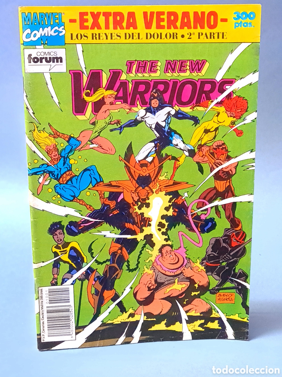 Comics: MUY BUEN ESTADO THE NEW WARRIORS REYES DOLOR ESPECIAL EXTRA VERANO FORUM GRAPA