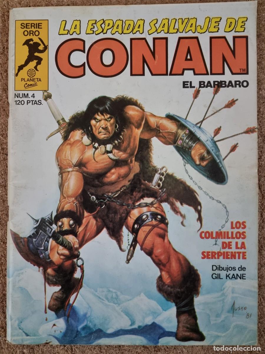 C&oacute;mics: La Espada Salvaje de Conan 4.Planeta Comic - Foto 1