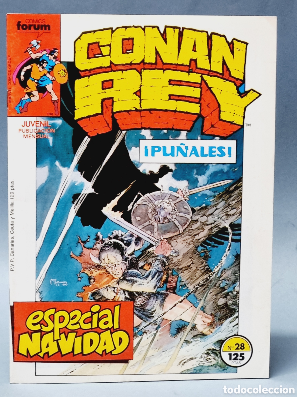 C&oacute;mics: EXCELENTE ESTADO CONAN REY 28 GRAPA COMICS FORUM GRAPA - Foto 1