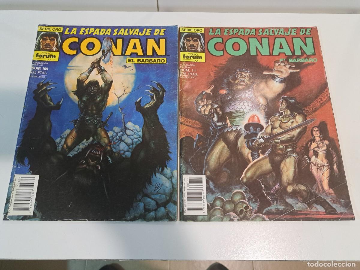 C&oacute;mics: 80 - 31 COMICS LA ESPADA SALVAJE DE CONAN - Foto 19