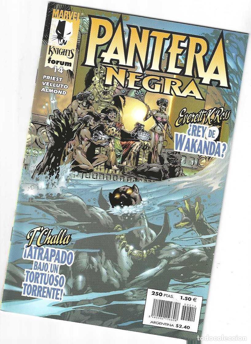 C&oacute;mics: PANTERA NEGRA N&ordm; 14 - MARVEL KNIGHTS - BUEN ESTADO - Foto 1