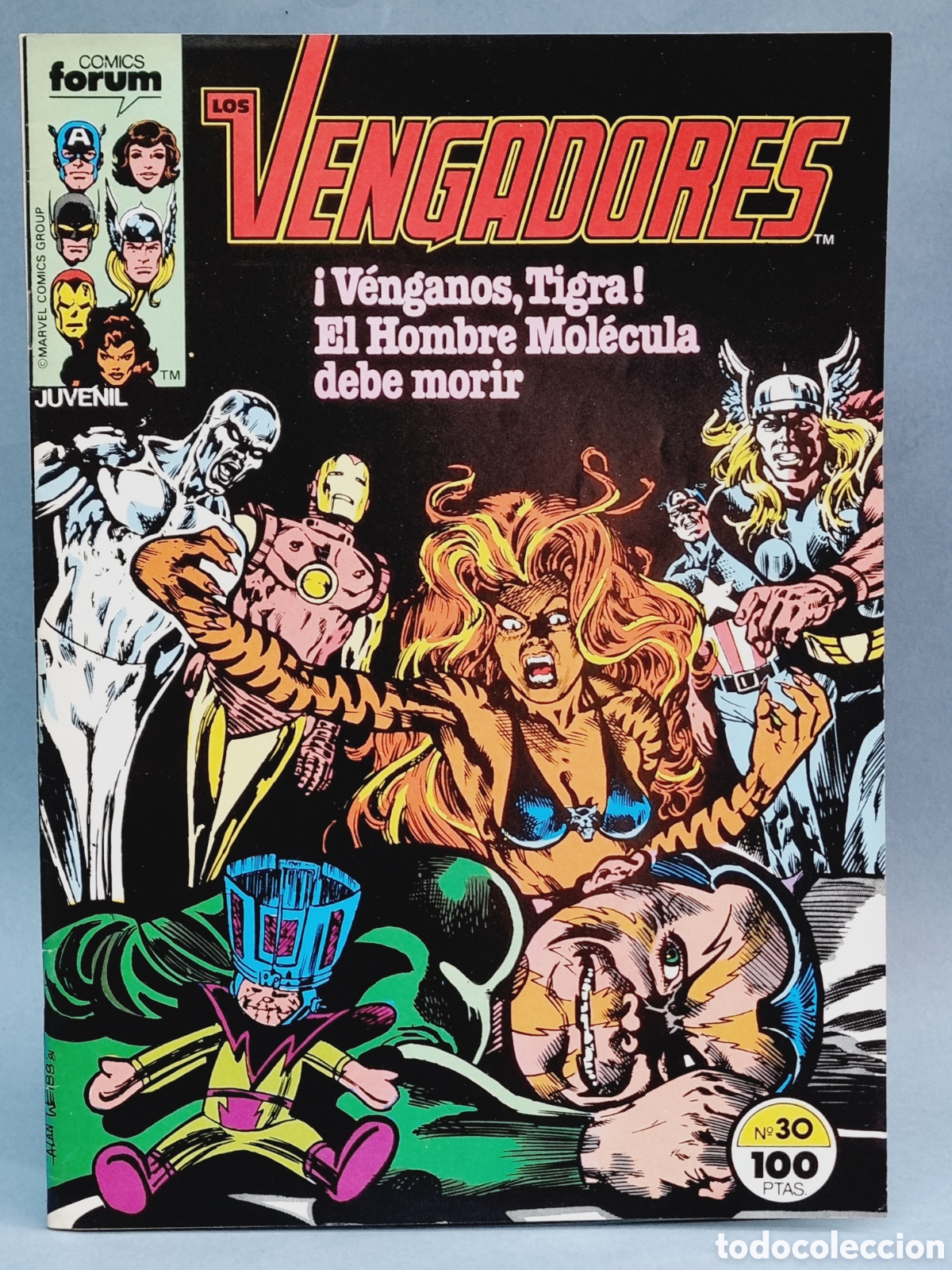 C&oacute;mics: EXCELENTE ESTADO LOS VENGADORES 30 GRAPA FORUM - Foto 1
