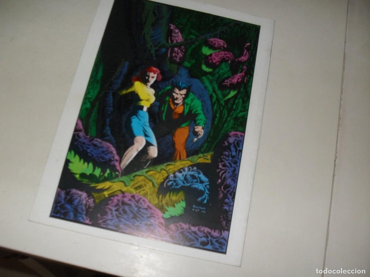 C&oacute;mics: CLASSIC X-MEN 27 PROVOCANDO ESTAMPIDA&iexcl;,(DE 43).FORUM,1988 - Foto 2
