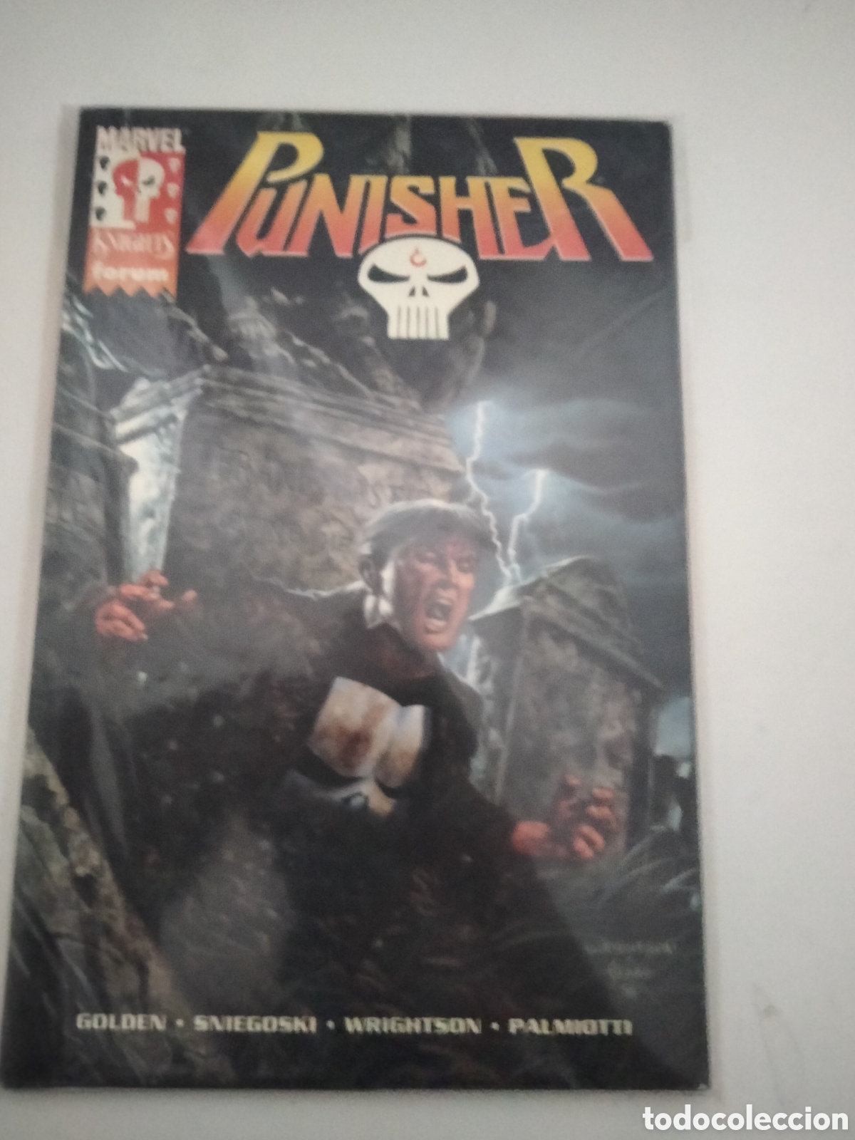 C&oacute;mics: Punisher Marvel knights - Foto 1