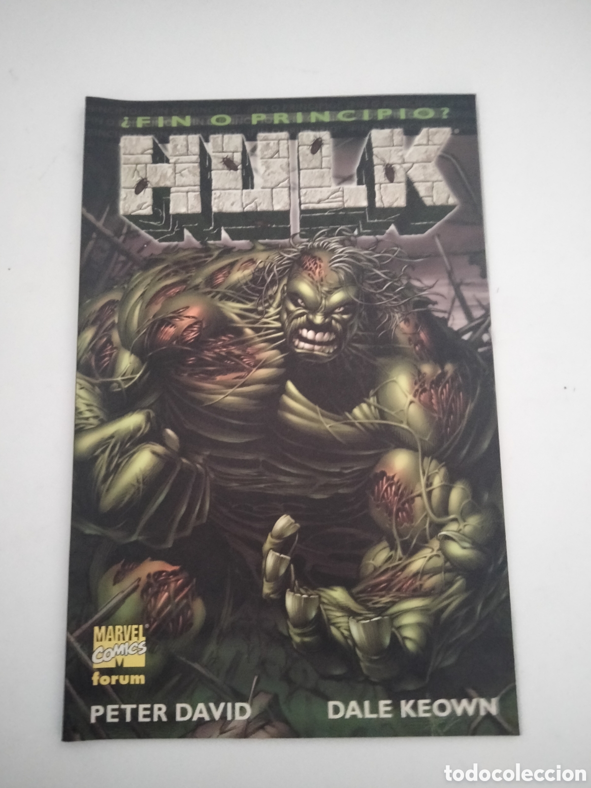 C&oacute;mics: Hulk fin o principio - Foto 1