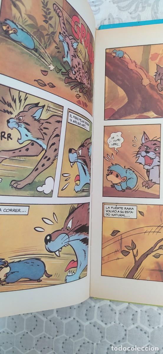 C&oacute;mics: BELFY Y LILLIBIT EL MOLINO C&Oacute;MICS FORUM N&deg;3 - Foto 5