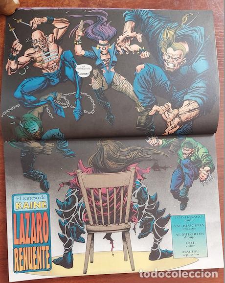 C&oacute;mics: Nuevo Spiderman Vol. 3 n&ordm; 3 - C&oacute;mics Forum 1996 - Foto 5