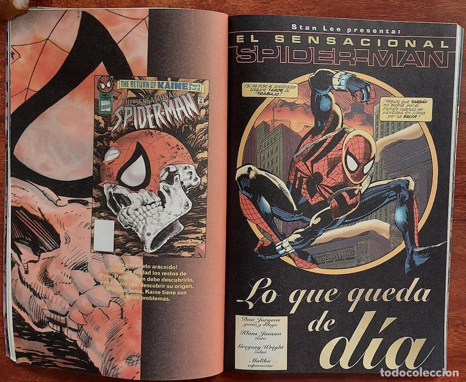 C&oacute;mics: Nuevo Spiderman Vol. 3 n&ordm; 3 - C&oacute;mics Forum 1996 - Foto 8